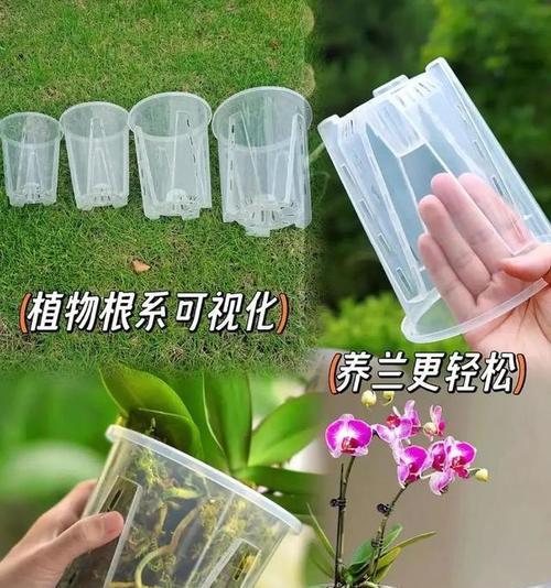 什么样的花盆养花好？如何选择合适的花盆？