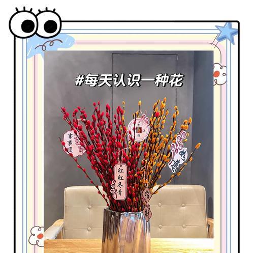 银柳如何上色的？银柳上色的方法和效果如何？