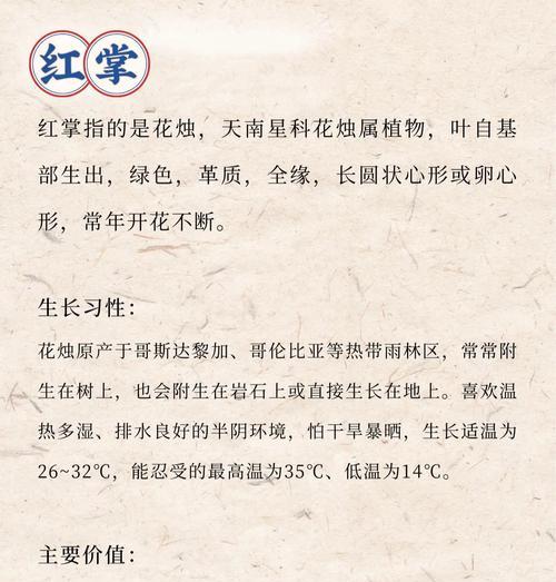 红掌开花后的养护和管理技巧是什么？