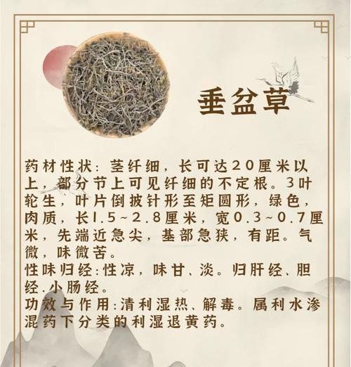 垂盆草有哪些品种？垂盆草品种的选择方法是什么？