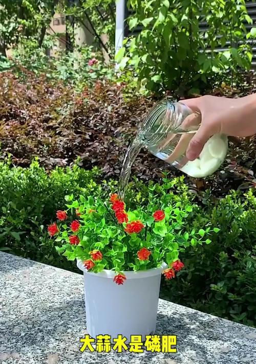 如何改良自来水以适合浇花？有哪些有效方法？