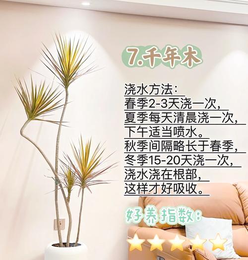植物浇透水的正确方法是什么？如何判断植物是否需要浇水？