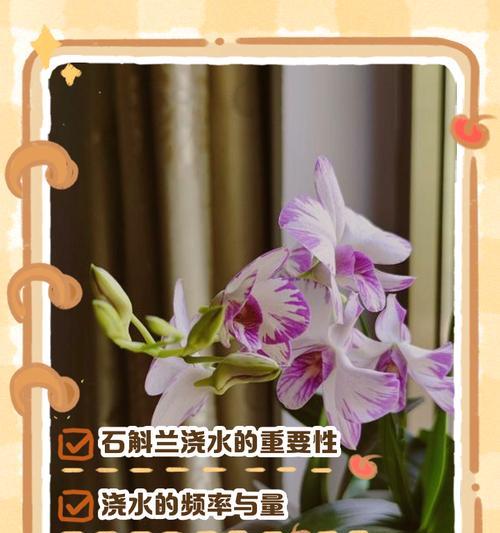 植物浇水的正确频率和技巧是什么？