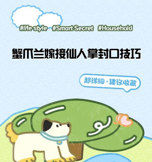 将军柱嫁接蟹爪兰的步骤是什么？如何提高成功率？