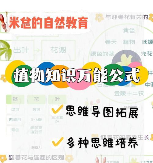 迎春花的养殖方法有哪些？如何让迎春花更早开花？