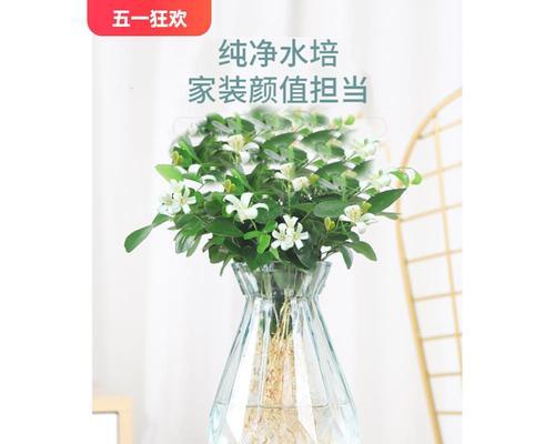 盆栽植物杀虫的有效方法是什么？
