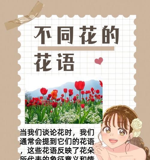 龙骨花移植的正确方法是什么？如何确保移植成功？