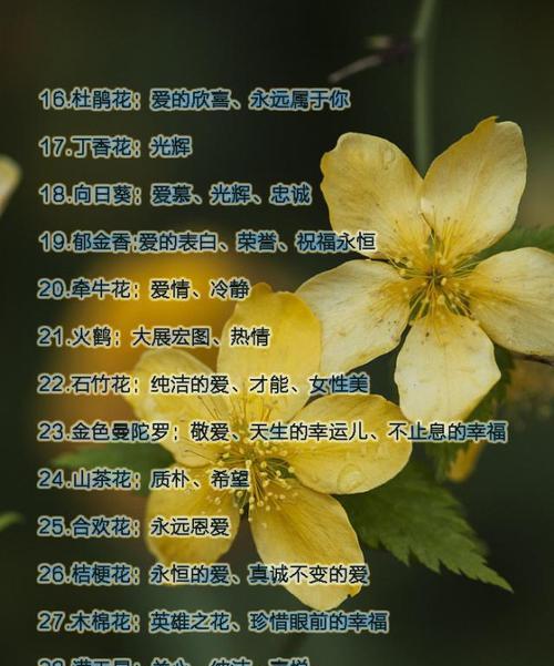 龙骨花移植的正确方法是什么？如何确保移植成功？