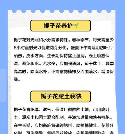 栀子花叶子干枯的原因及解决办法？