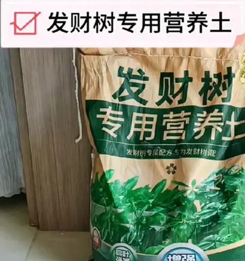 发财树适合什么土质？发财树的最佳种植土壤是什么？