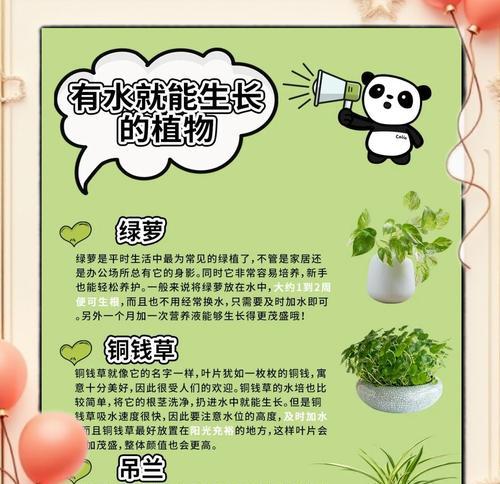 水培植物的养殖技巧有哪些？