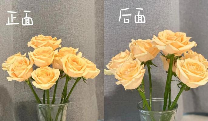 插花艺术的含义和技巧是什么？