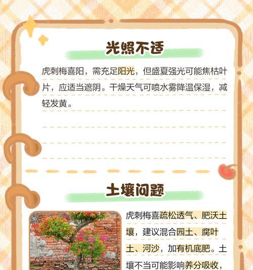 为什么花叶子发黄？找出原因并解决植物黄叶问题？