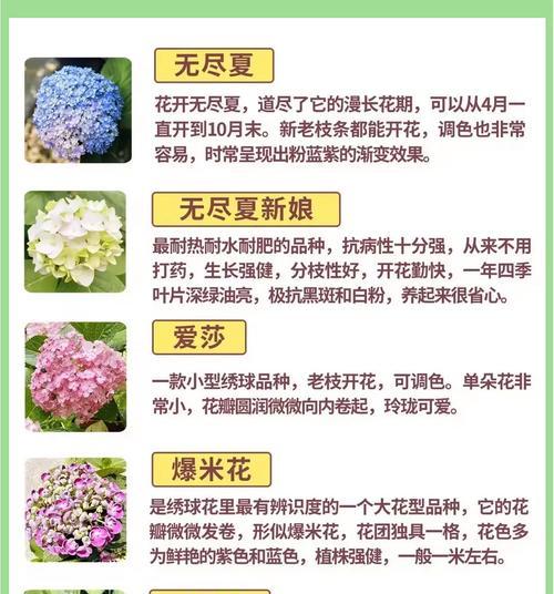 广东地区流行的花卉品种有哪些？广东花卉品种选择有哪些技巧？