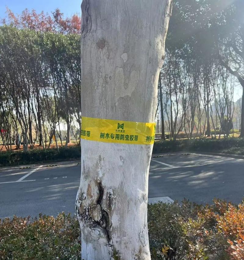 树长虫子怎么办？树木害虫的防治方法有哪些？