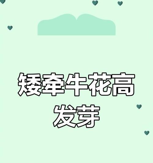 花种子发芽的技巧是什么？如何提高发芽率？