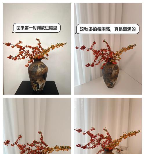 火棘什么时候移栽？移栽的最佳时机是什么时候？