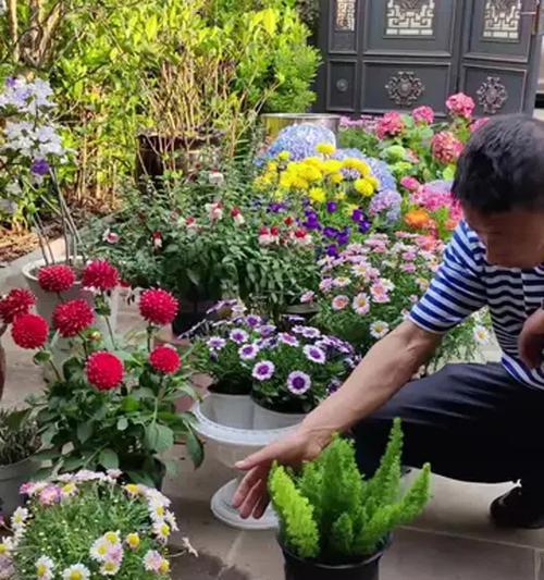 养花选择哪种土壤最适宜？不同花卉对土壤有何要求？