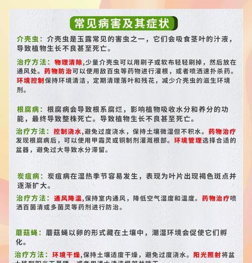 玉露的养护技巧有哪些？如何让玉露生长得更健康？