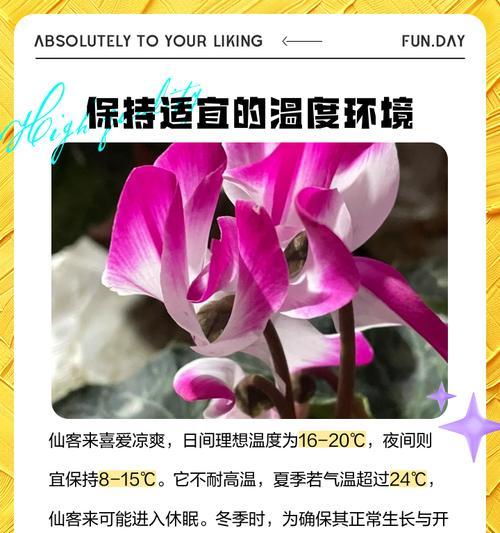 仙鹤来休眠期间的管理要点有哪些？