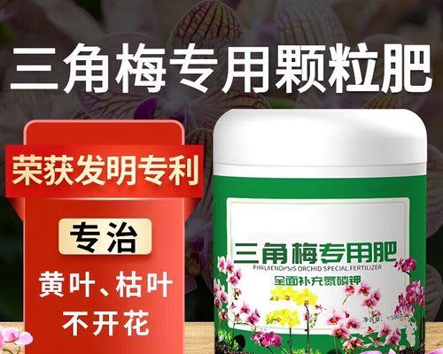 三角梅的施肥秘诀：哪种肥料最受欢迎？