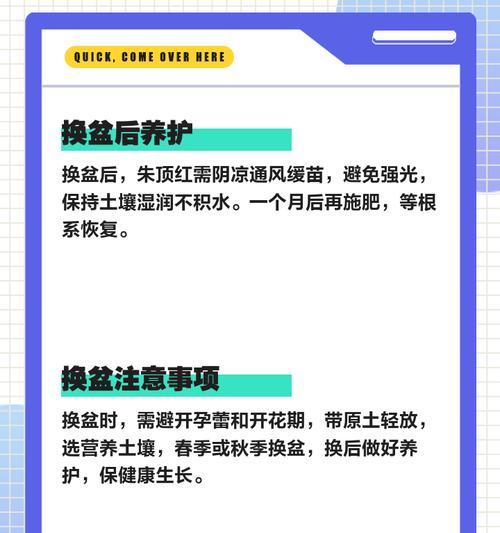 换盆时应该注意哪些事项？如何正确换盆？
