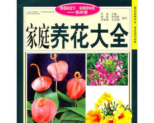 家常养的花有哪些？家庭养花需要注意哪些事项？