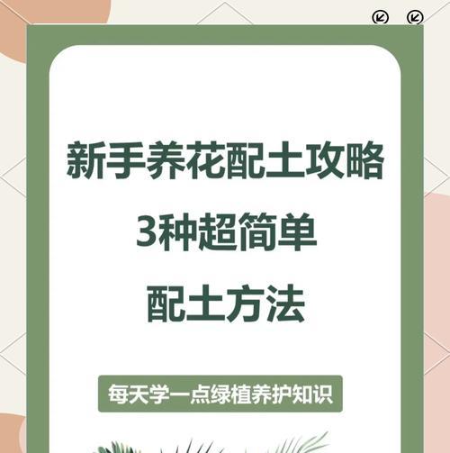 塘泥种植花卉：塘泥种植花卉有哪些技巧？