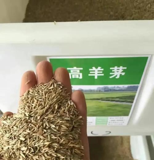草坪有哪些种类？草坪种类的选择标准是什么？