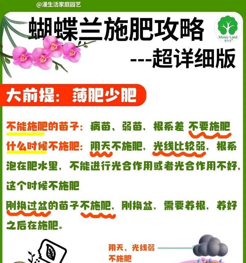 蝴蝶兰土壤配制的正确比例和技巧是什么？