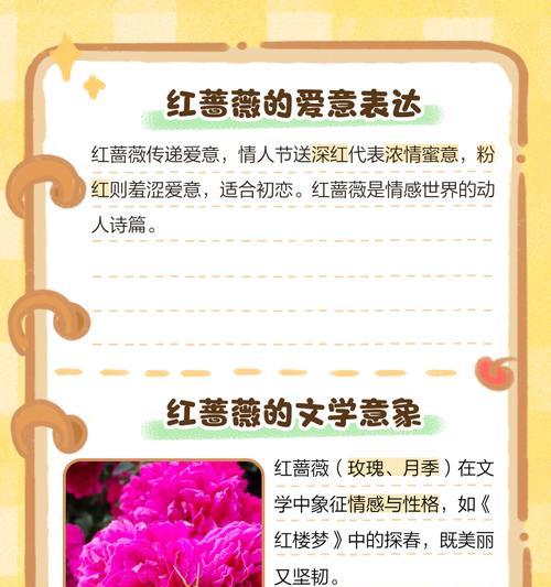 蔷薇的花语和象征意义是什么？蔷薇的种植和养护技巧有哪些？