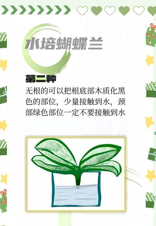 蝴蝶花家庭养法有哪些技巧？