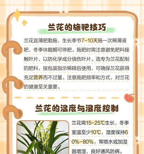 花草施肥的正确方法和频率是怎样的？