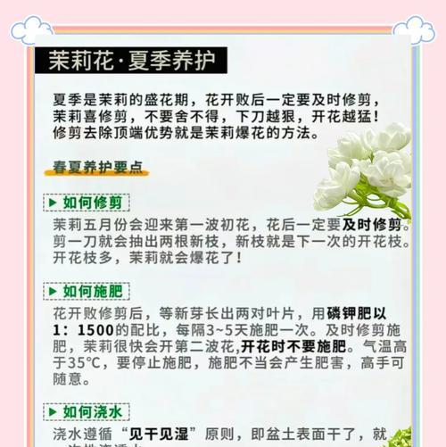 茉莉花修剪的最佳时间和方法是什么？