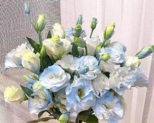 洋桔梗插花的正确方法是什么？