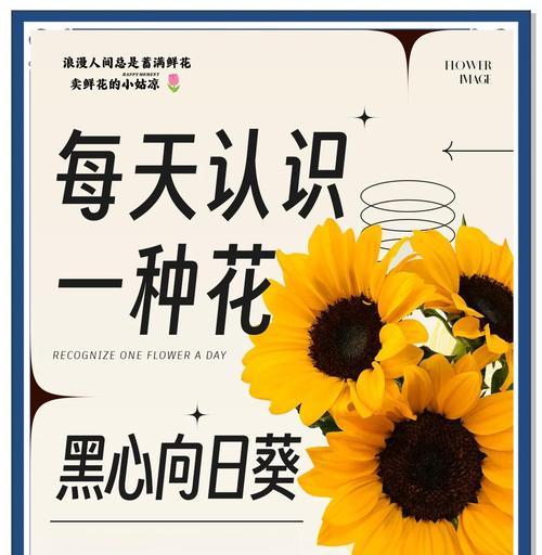 向日葵什么季节开花？向日葵的开花时间及养护技巧？