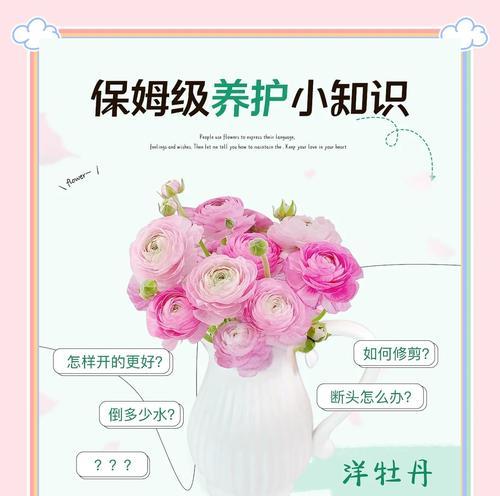 秋季牡丹养护要点是什么？如何让牡丹安全过秋？
