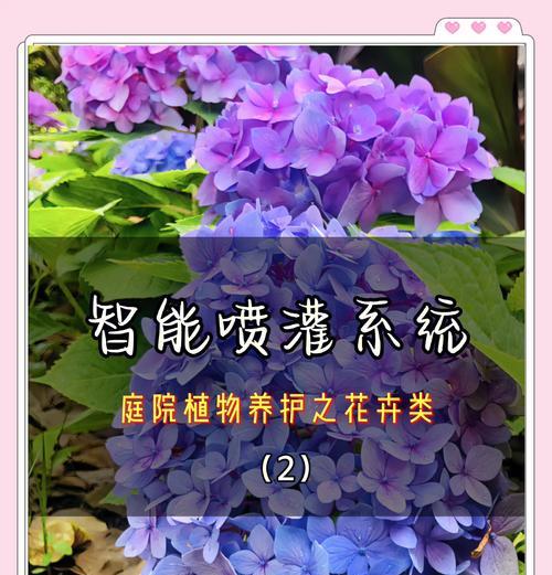 盆栽石榴冬季养护指南？如何安全过冬？