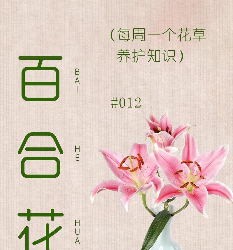 百何花的养殖方法和常见问题解答是什么？