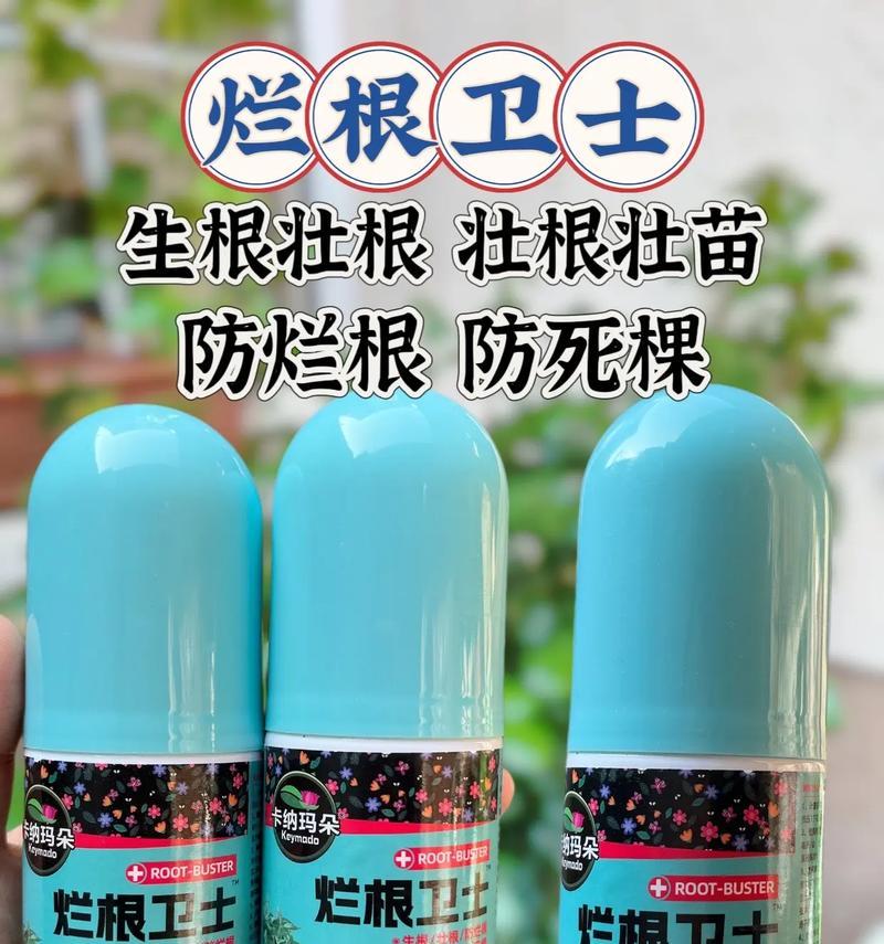花卉烂根的急救措施有哪些？