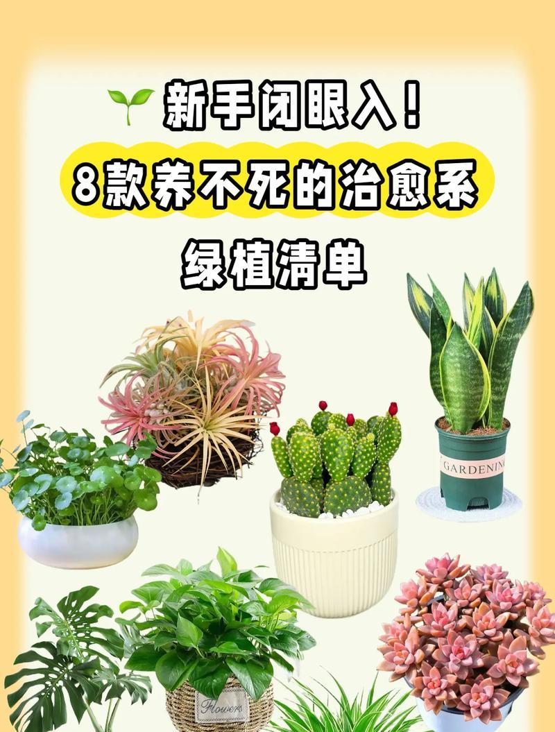 胧月爆盆的技巧是什么？如何实现？