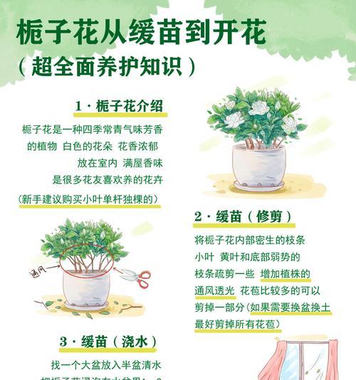 栀子花浇水方法是什么？如何正确掌握水量？