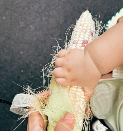 种子浇水的最佳时间和方法是什么？