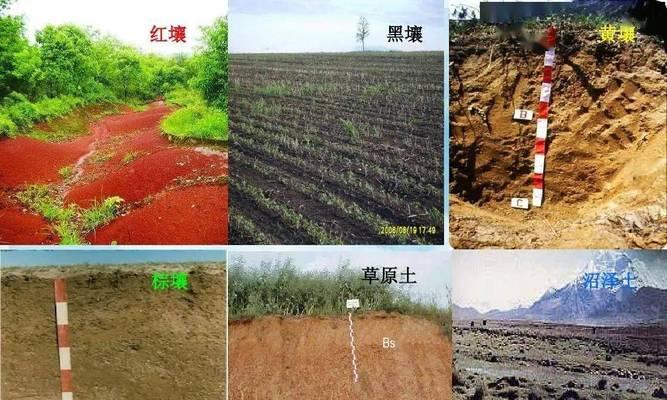 沙壤土的制作方法是什么？如何调配适合植物生长的土壤？