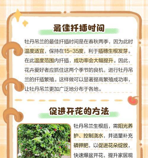 牡丹吊兰繁殖方法是什么？