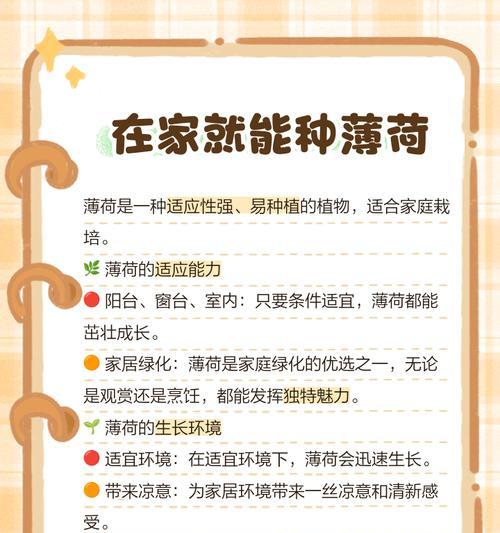 薄荷的养殖方法和技巧是什么？