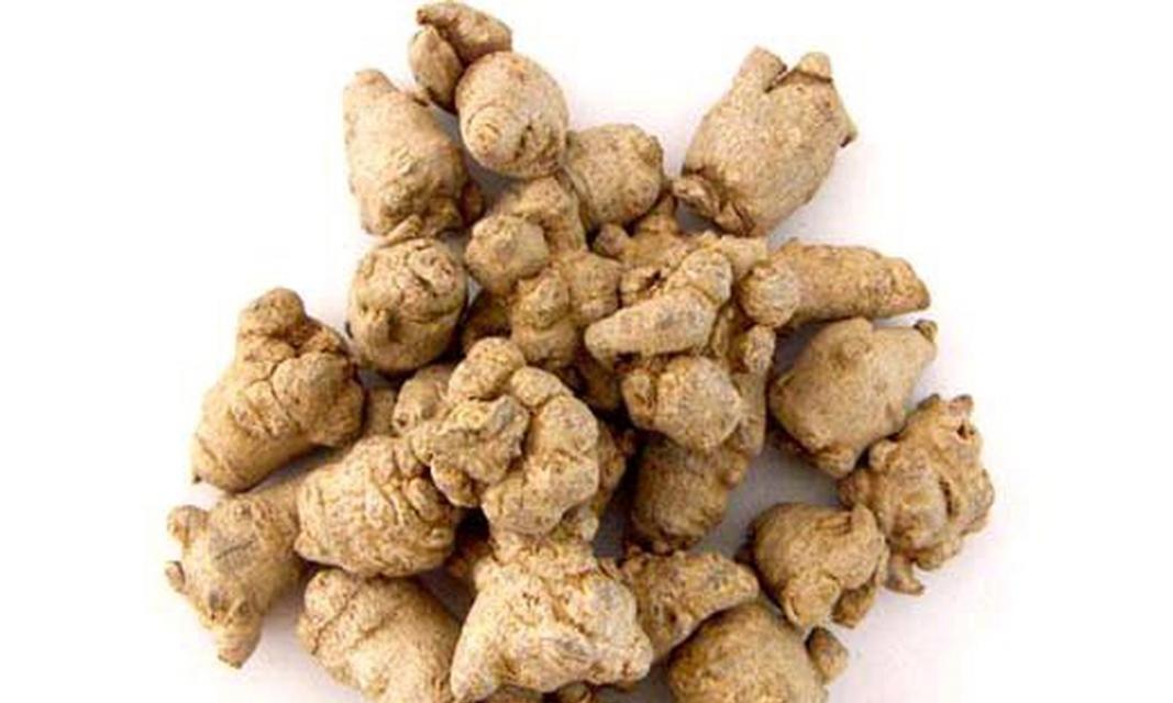 田七是什么样的植物？田七的特性及其药用价值是什么？