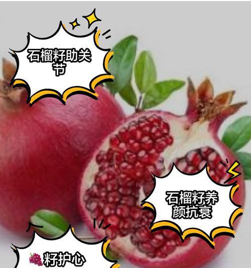 石榴品种有哪些？如何选择适合自己的石榴品种？