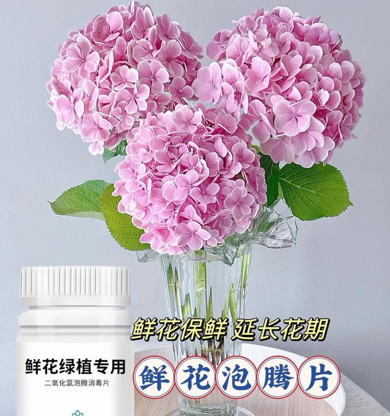 花束保鲜方法有哪些？