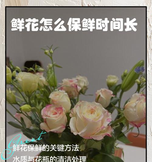 玫瑰花保鲜的秘诀是什么？